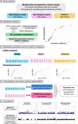 Integrative genetics-metabolomics analysis of infant bronchiolitis-childhood asthma link: A multicenter prospective study
